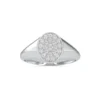 0654-W1 platinum